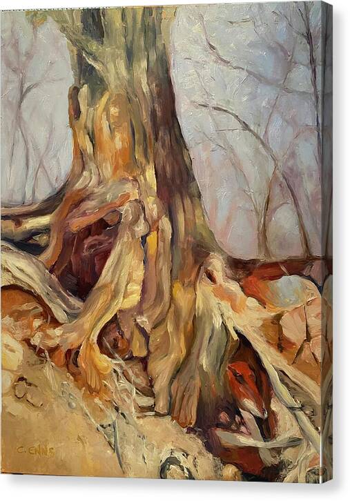 Portrait of a Tree - Canvas Print