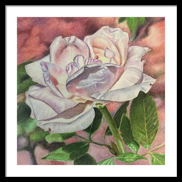 Arrayed in Splendor - Framed Print
