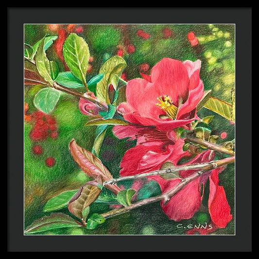 Awakening - Framed Print
