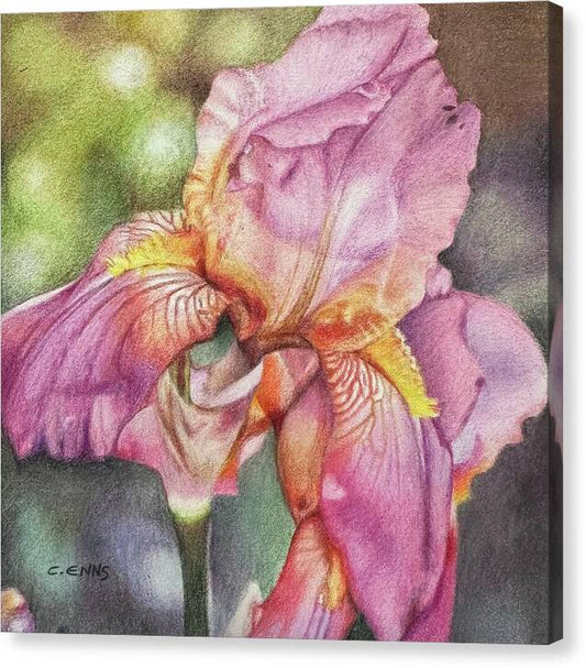 Delicate Strength - Canvas Print