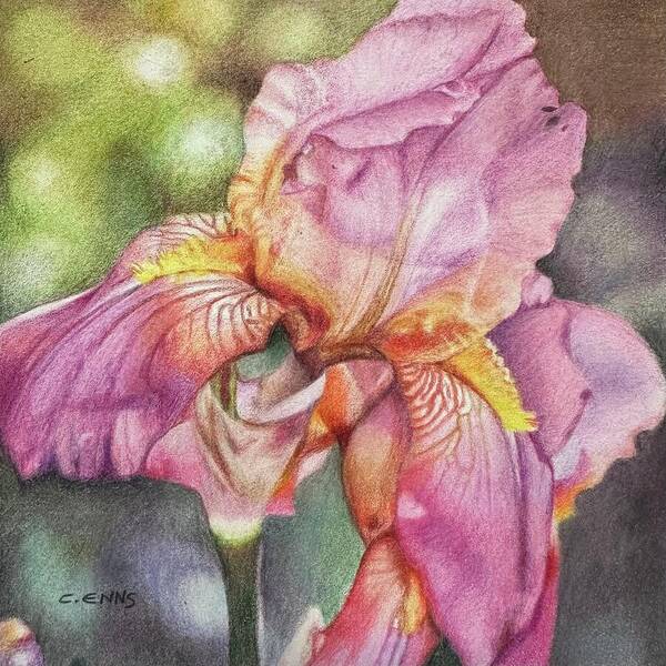Delicate Strength - Art Print
