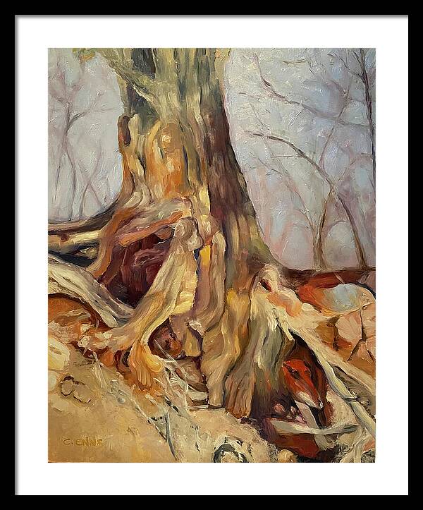 Portrait of a Tree - Framed Print