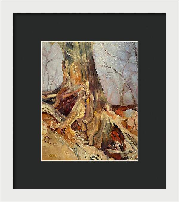 Portrait of a Tree - Framed Print