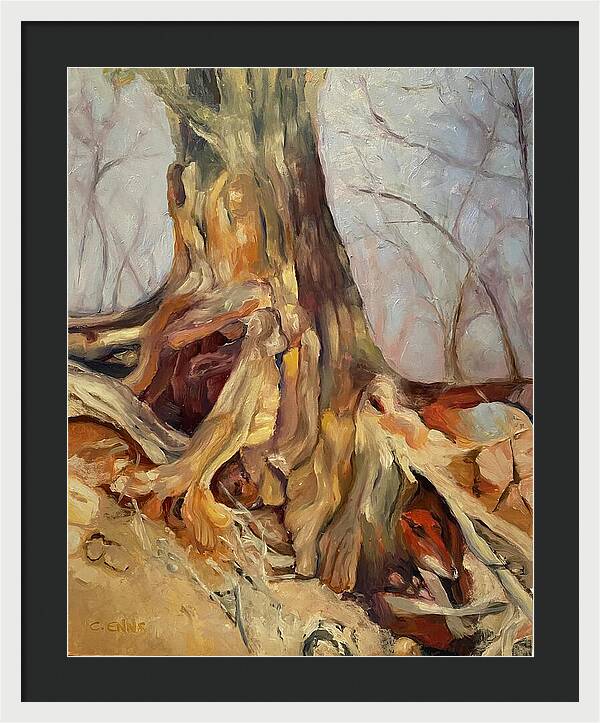 Portrait of a Tree - Framed Print