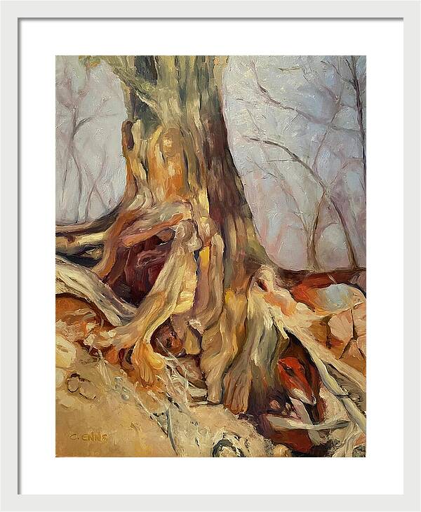 Portrait of a Tree - Framed Print