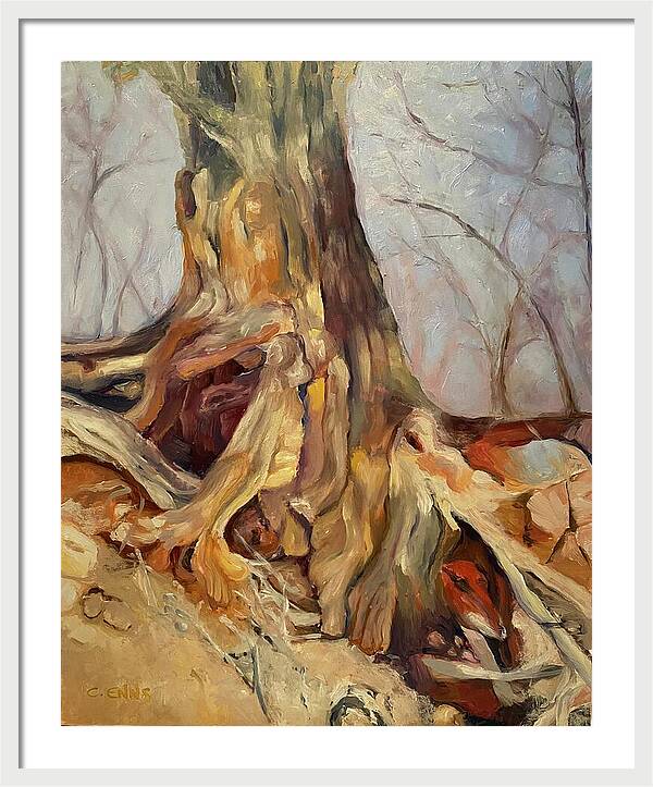 Portrait of a Tree - Framed Print