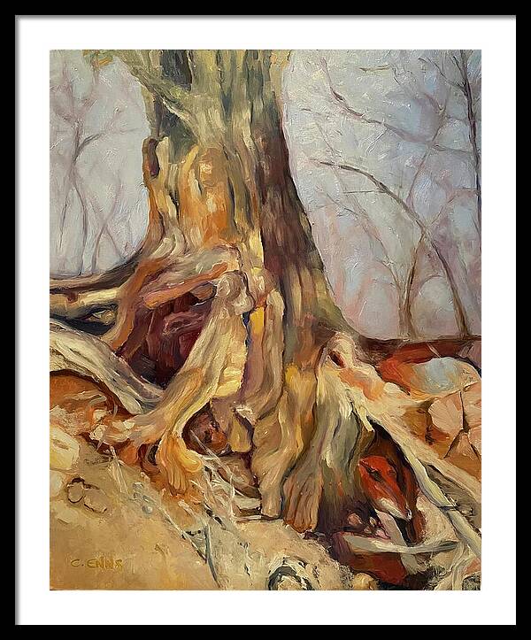 Portrait of a Tree - Framed Print