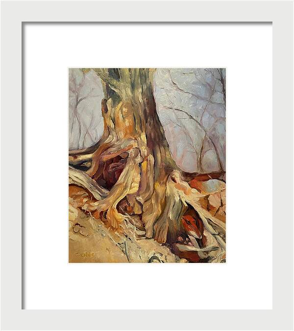 Portrait of a Tree - Framed Print
