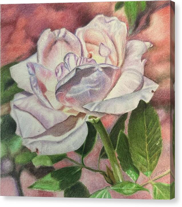 Arrayed in Splendor - Canvas Print
