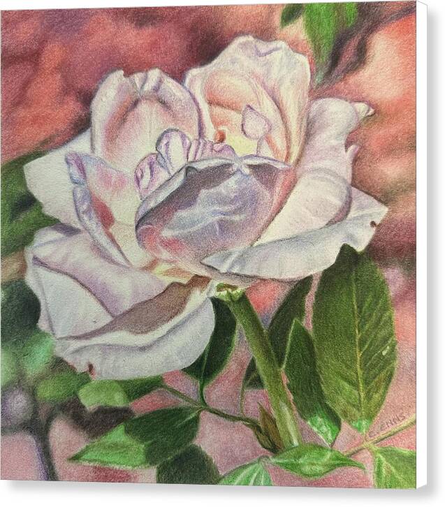 Arrayed in Splendor - Canvas Print