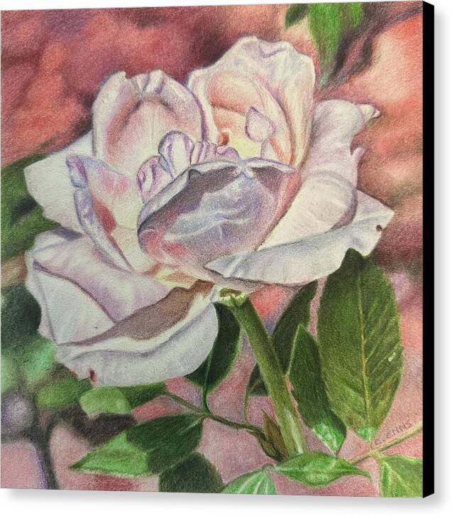 Arrayed in Splendor - Canvas Print