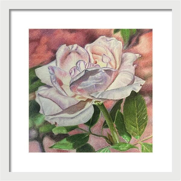 Arrayed in Splendor - Framed Print