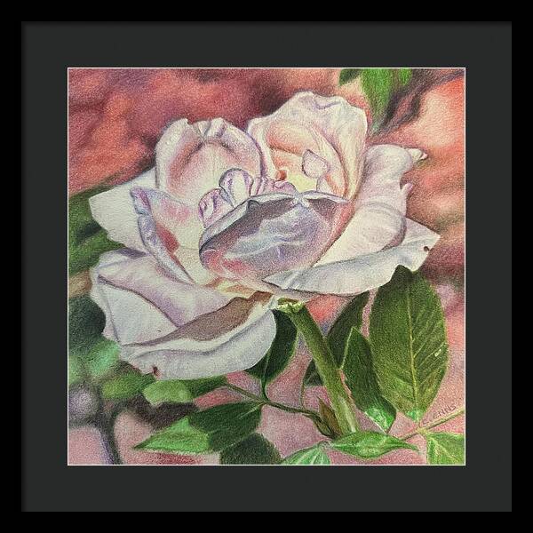 Arrayed in Splendor - Framed Print