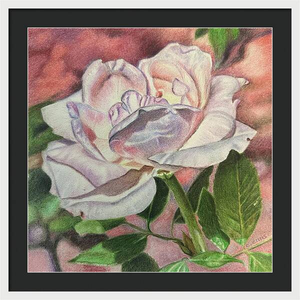 Arrayed in Splendor - Framed Print