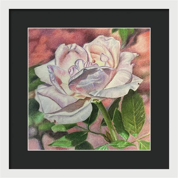Arrayed in Splendor - Framed Print