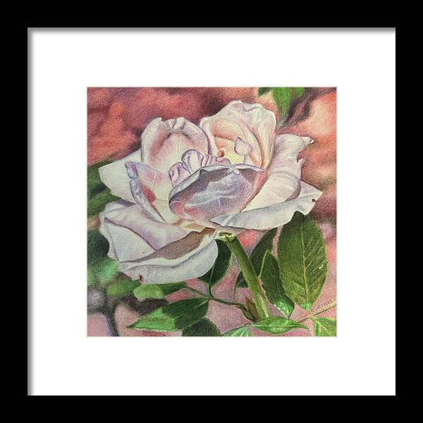 Arrayed in Splendor - Framed Print