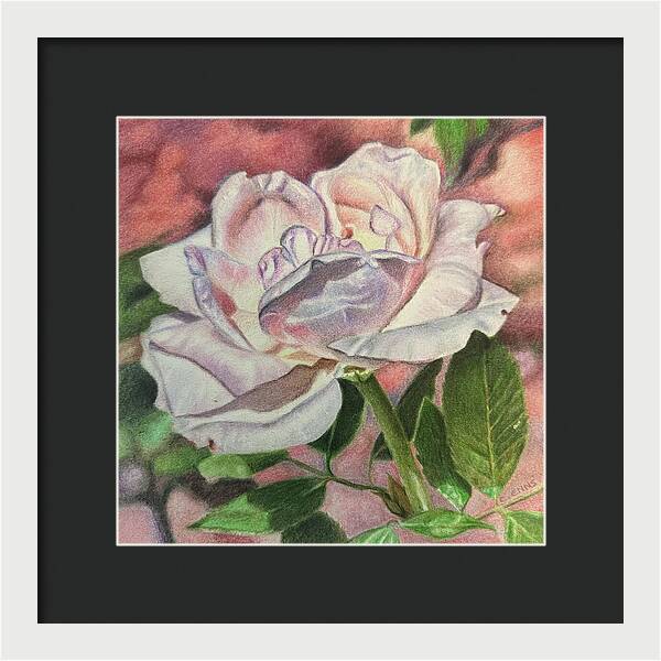 Arrayed in Splendor - Framed Print