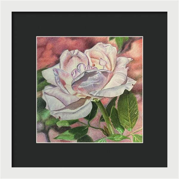 Arrayed in Splendor - Framed Print