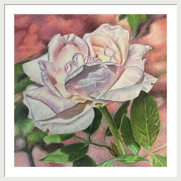 Arrayed in Splendor - Framed Print