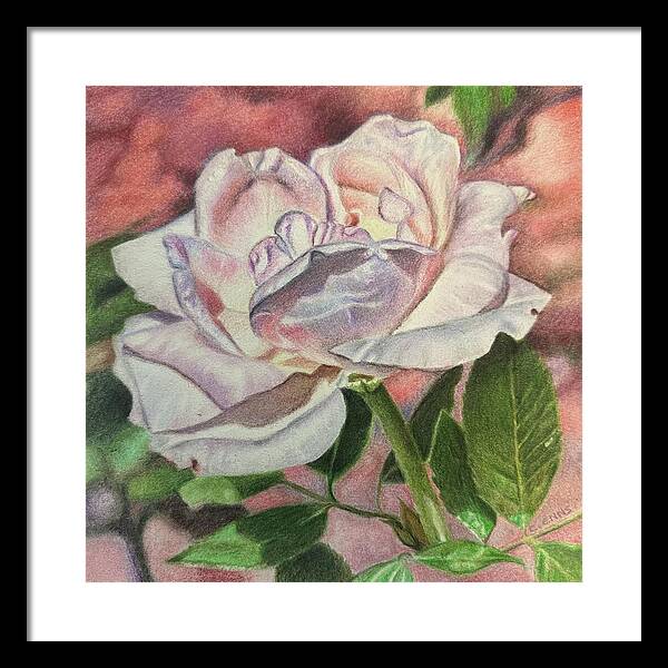 Arrayed in Splendor - Framed Print