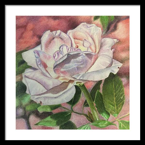 Arrayed in Splendor - Framed Print