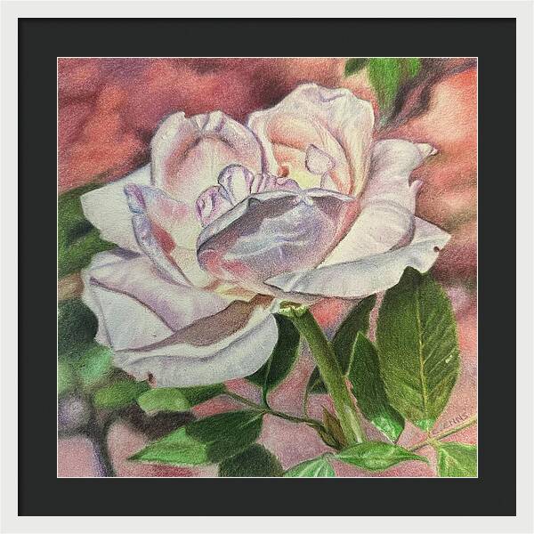 Arrayed in Splendor - Framed Print