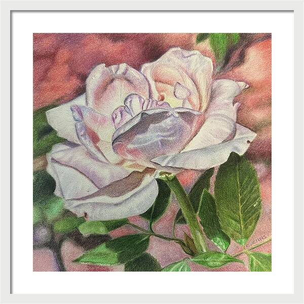 Arrayed in Splendor - Framed Print