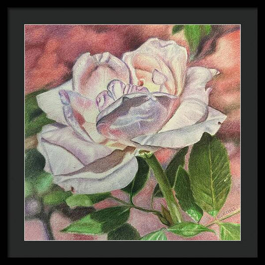 Arrayed in Splendor - Framed Print