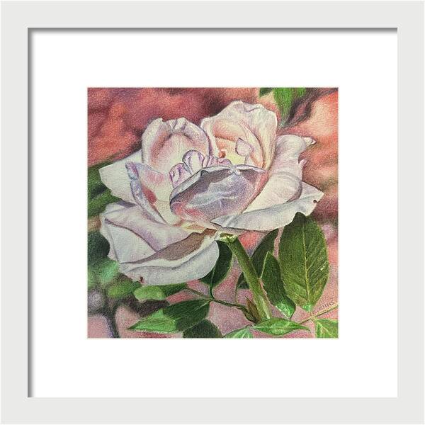 Arrayed in Splendor - Framed Print