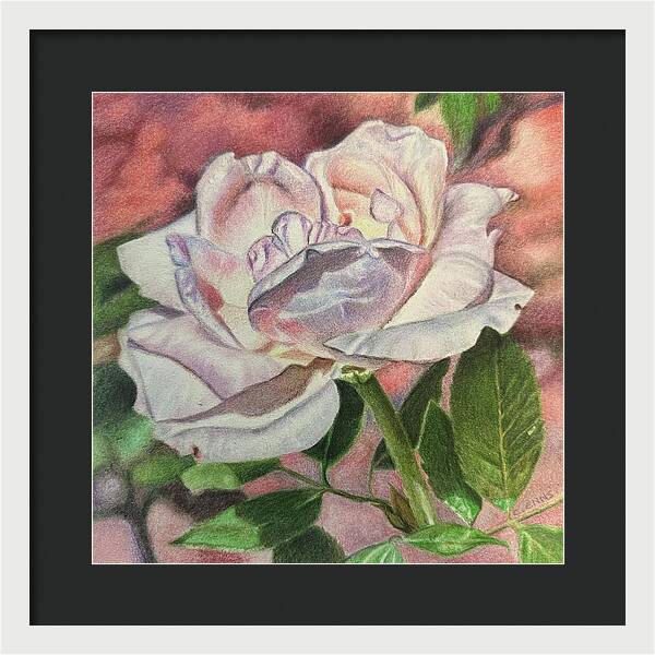 Arrayed in Splendor - Framed Print