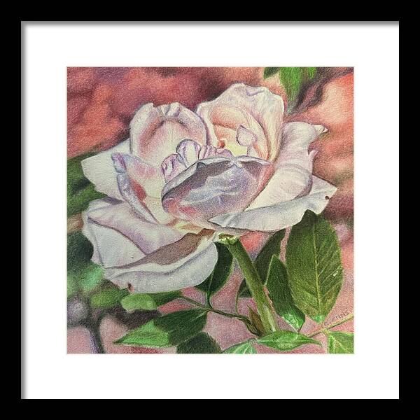 Arrayed in Splendor - Framed Print