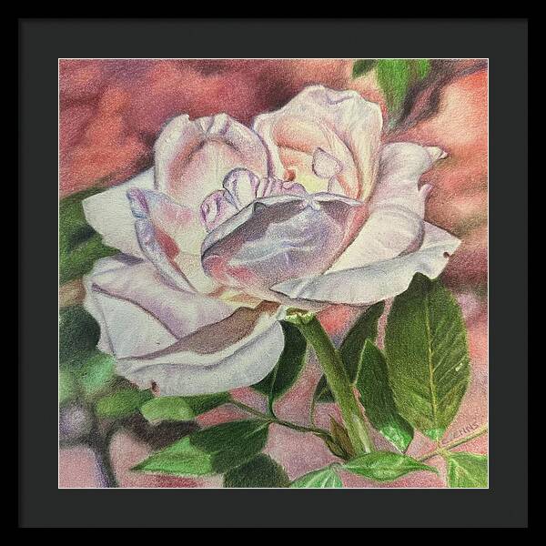 Arrayed in Splendor - Framed Print