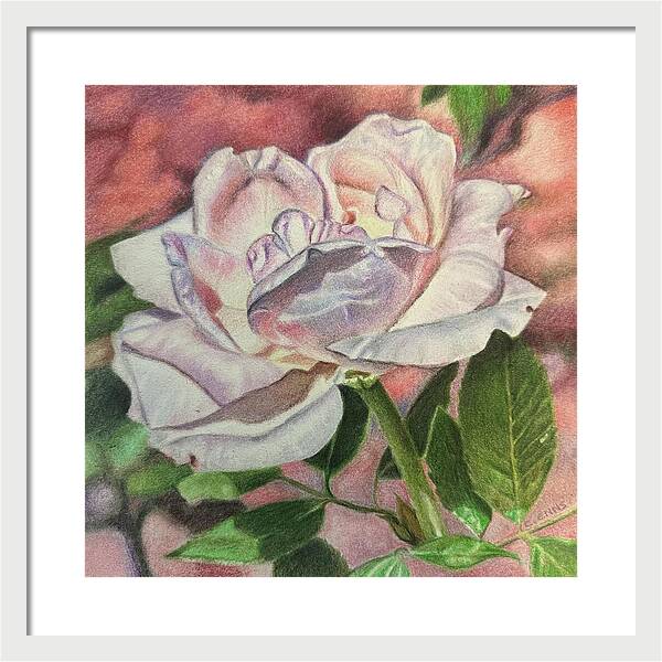 Arrayed in Splendor - Framed Print