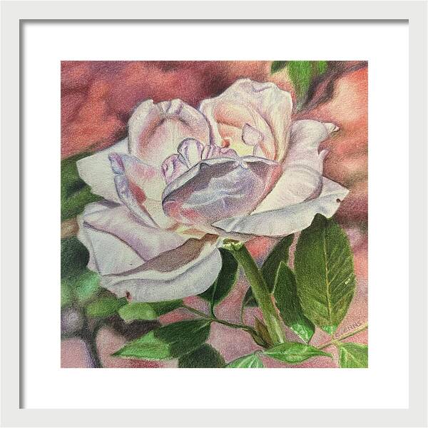 Arrayed in Splendor - Framed Print