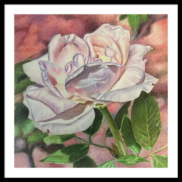 Arrayed in Splendor - Framed Print