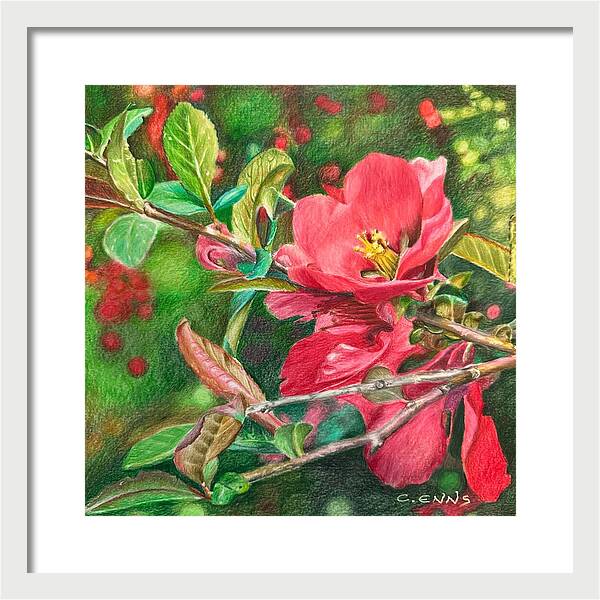 Awakening - Framed Print