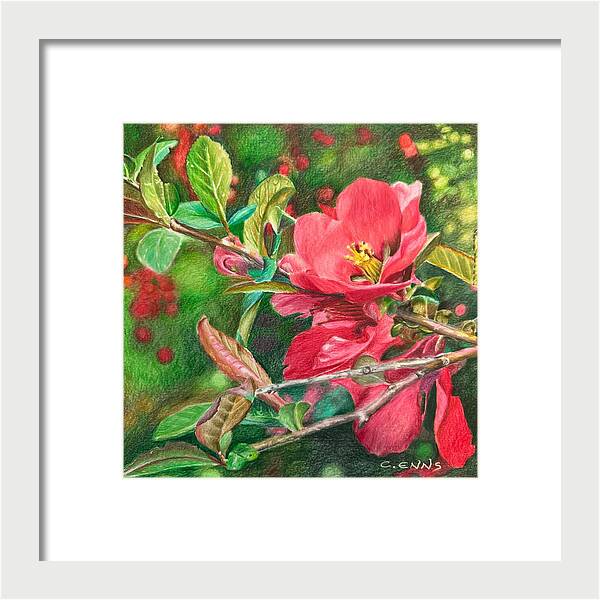 Awakening - Framed Print