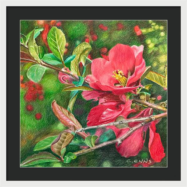 Awakening - Framed Print