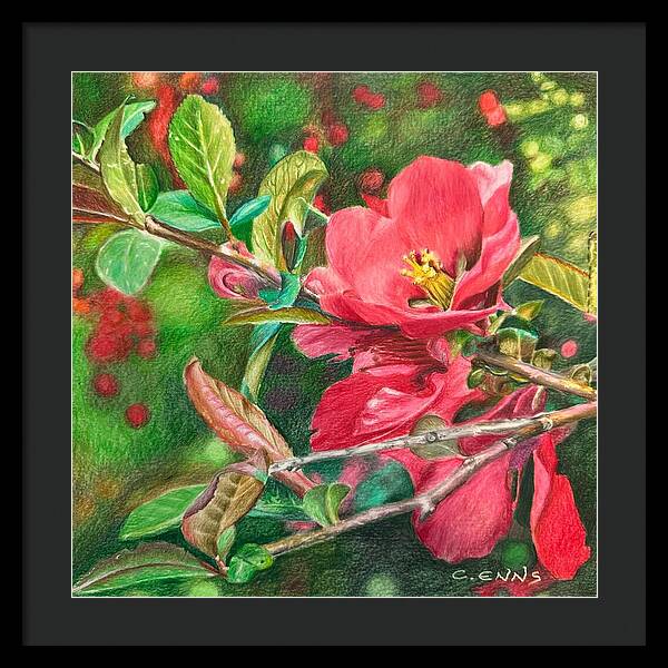 Awakening - Framed Print