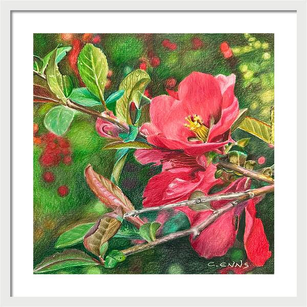 Awakening - Framed Print