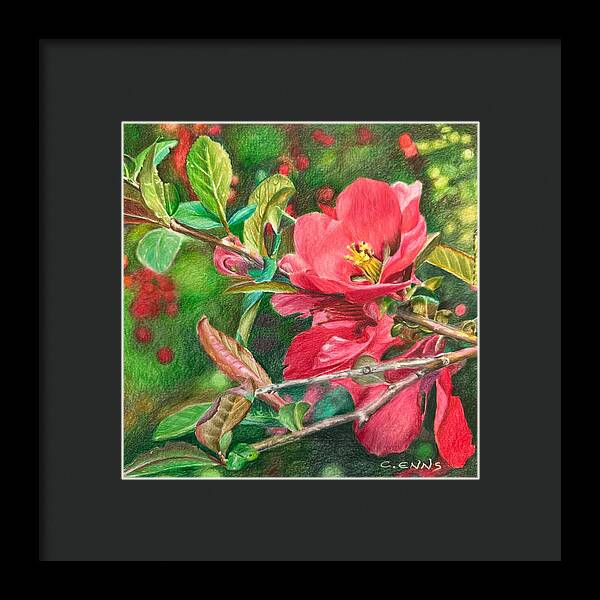 Awakening - Framed Print