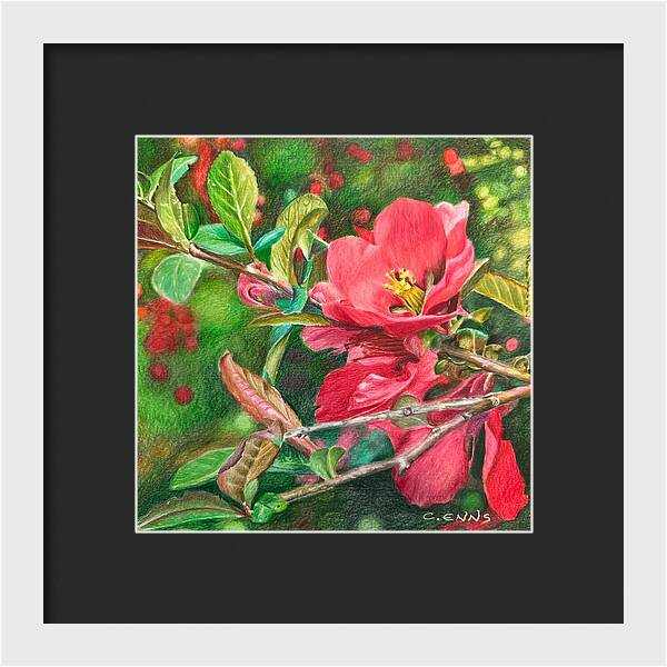 Awakening - Framed Print