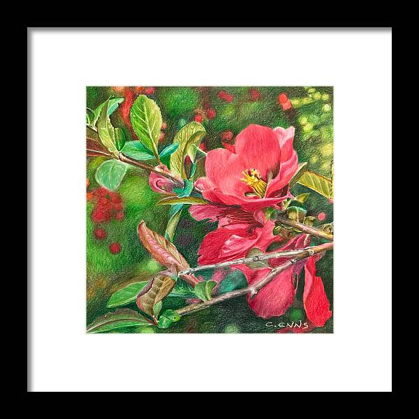 Awakening - Framed Print