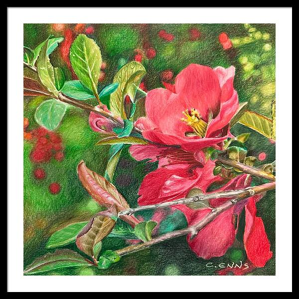 Awakening - Framed Print