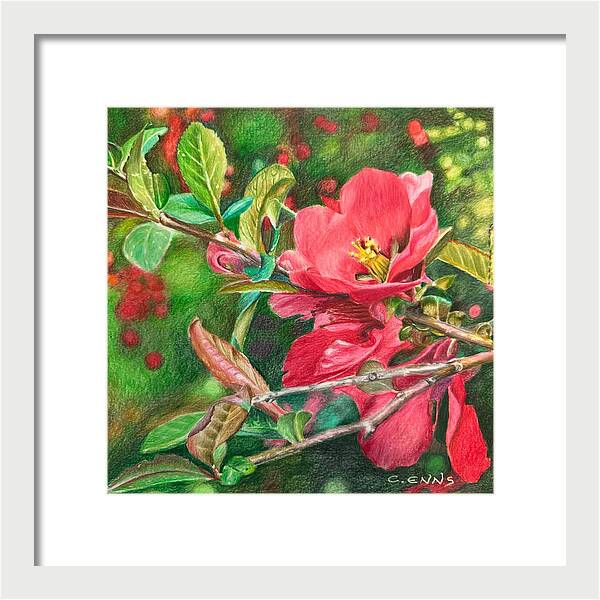 Awakening - Framed Print