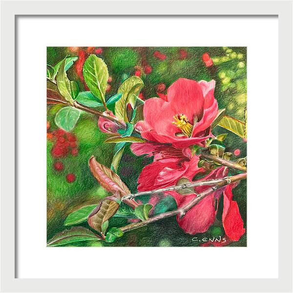Awakening - Framed Print