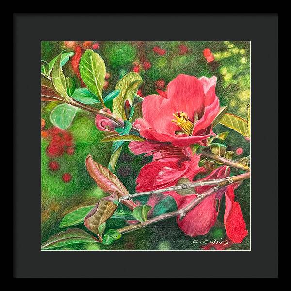 Awakening - Framed Print