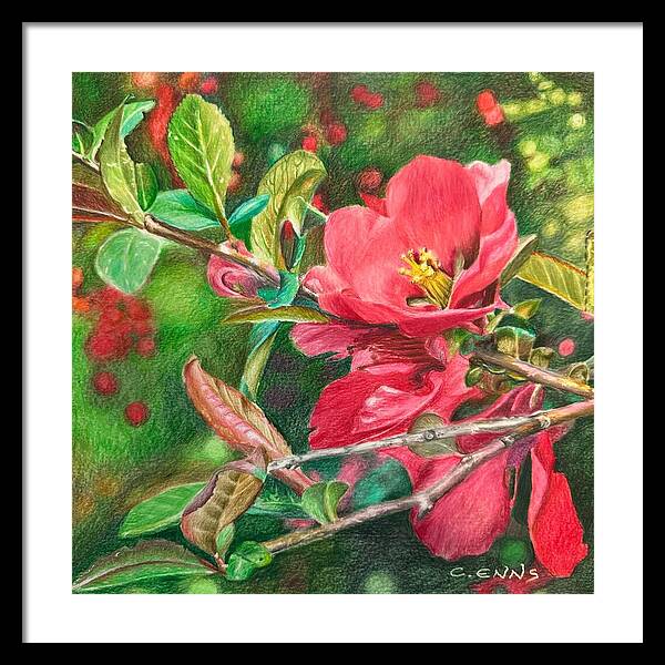 Awakening - Framed Print