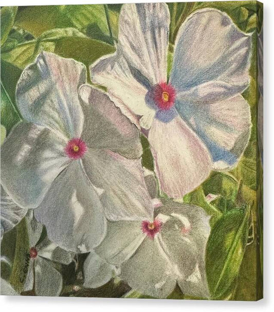 Dance of Light in the Garden - Canvas Print