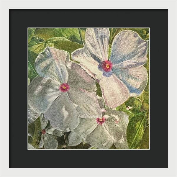 Dance of Light in the Garden - Framed Print